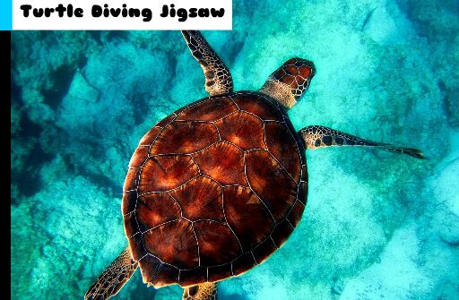 turtle diving jigsaw